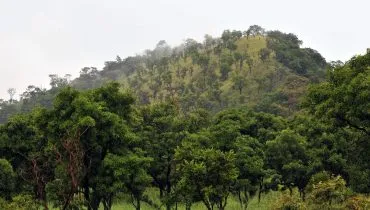 Etudier au Ghana avec AFS
