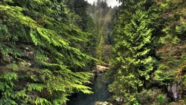 Etudier au Canada avec AFS