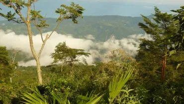 Partir avec AFS en Colombie