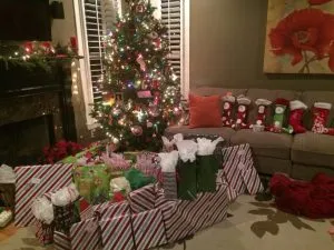 Anna zu Weihnachten mit AFS in den USA