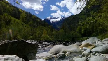 swiss 03