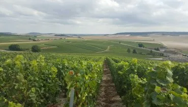 France 0 7