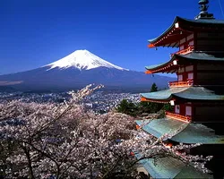 japana_spring-sakura