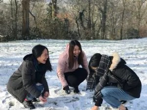 BFL PITCHAPA LER (2)