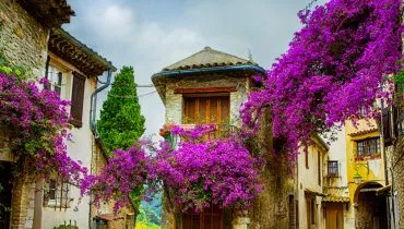 art beautiful old town of Provence
