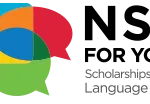 nsli-logo