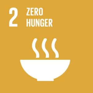 UN-SDG-icons-small