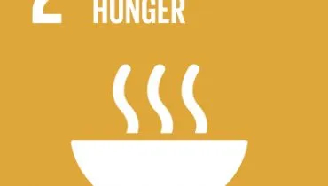 UN-SDG-icons-small