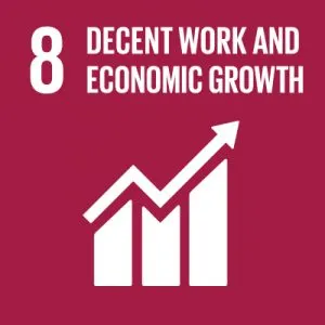 UN-SDG-icons-small