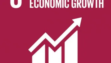 UN-SDG-icons-small