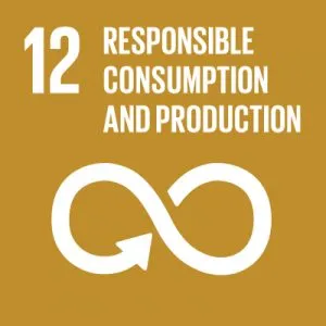 UN-SDG-icons-small