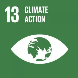 UN-SDG-icons-small