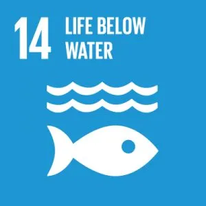 UN-SDG-icons-small