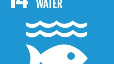 UN-SDG-icons-small