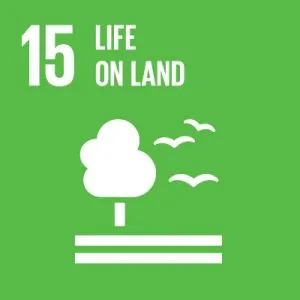 UN-SDG-icons-small