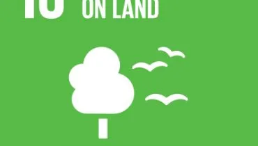 UN-SDG-icons-small