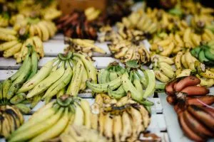 PAN-HS-plantains