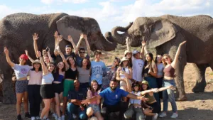 Garden Route Tour with Elephants