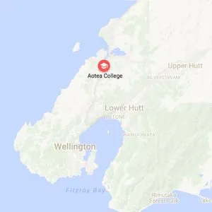 nzl_wellington