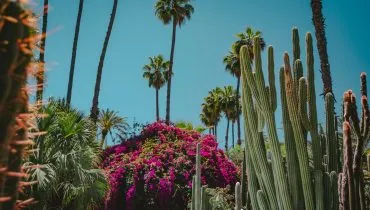 morocco-featured-1