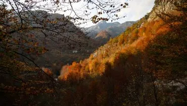 albania-featured-1