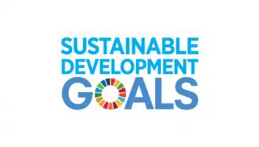 sdg-logo-01-300×158-1400px