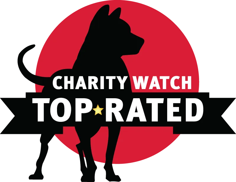 Charity Watch Top Rated