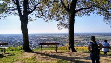 Plateau mit Ausblick: AFS Gastkind berichtet über die Erfahrungen in Deutschland