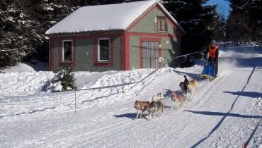 Von Hunden gezogener Schlitten im Schnee: AFS Gastschülerin berichtet über ihre Erfahrungen in Deutschland