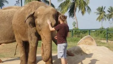 fwd_felix_weltwaerts_IDA_16-17_05_TREE_Foundaion_Elephant_Care_Center-93b86778