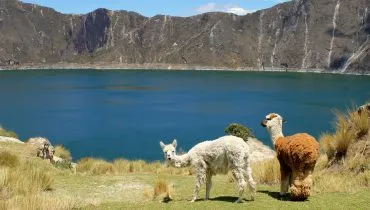 Schüleraustausch in Ecuador mit dem Lateinamerika-Stipendium von AFS.