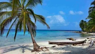 Panama Strand mit Palmen