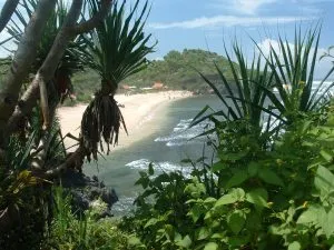 Blick durch Palmen auf Strand und Meer in Indonesien
