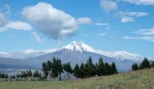 Ecuador-Programm Schuljahr-alejandro-unsplash