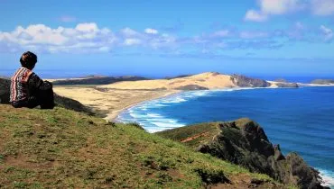 Neuseeland-Bucht-Nel_Botha-nz-pixabay
