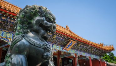 Schule-Mercato-Header-China-Löwe-magda-ehlers-pexels