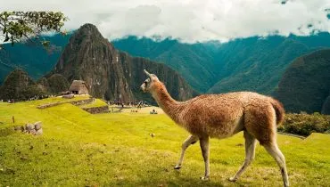 Peru-Aguas-Calientes-davis-vargas-unsplash
