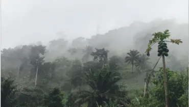 Kamerun Landschaft