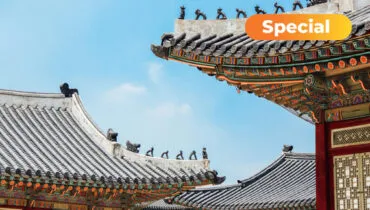 Mit AFS im Schüleraustausch die Kultur Südkoreas entdecken