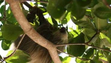 Header-Erfahrungsbericht-Costa Rica-Lili-2022