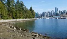 Im Freiwilligendienst nach Vancouver in Kanada mit AFS