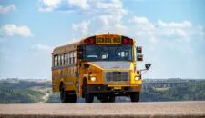 Typischer Schoolbus in den USA – das kannst du in deinem Austauschjahr auch erleben