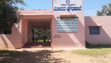 Unterstütze im Unterricht in der Milinda Vidya Samsthe Schule in Indien im Freiwilligendienst mit AFS