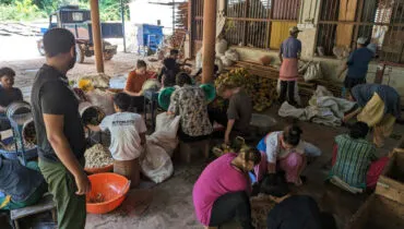 Arbeite auf einer Farm in Indien im Freiwilligendienst mit AFS