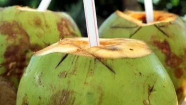 Entdecke Brasilien im Schüleraustausch mit AFS