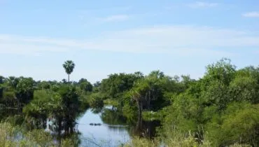 Freiwilligendienst in Paraguay im Nationalpark zum Schutz der Landschaft.
