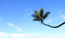 Schüleraustausch in  costa Rica mit AFS.