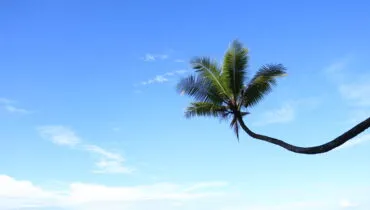 Schüleraustausch in costa Rica mit AFS.