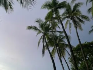 Entdecke Costa Rica im Freiwilligendienst mit AFS.