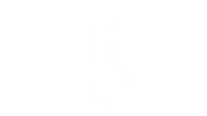 Icons-17